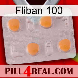 Fliban 100 24